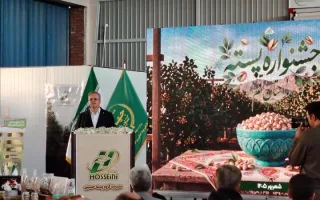 معاون وزیر جهاد کشاورزی: افزایش بهره‌وری، راهکار کاهش هزینه سفره مردم است