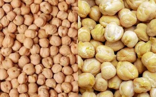 خواص نخود و معجزه آن برای  سلامتی