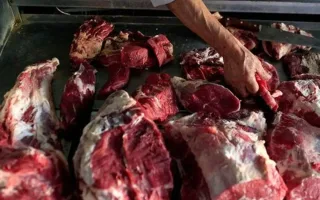 کشف ۲۵۴ کیلوگرم گوشت الاغ و قاطر در تهران