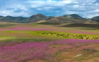 ال‌نینو به بیابان خشک زمین طراوت می‌بخشد