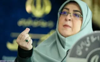 دولت مشوق‌هایی برای نخبگان خارج از کشور در نظر گرفت؛ واردات یک خودرو با سود بازرگانی صفر درصد!