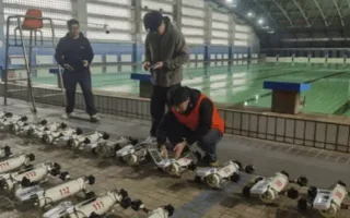 چین موفق به ثبت رکورد جهانی گینس با ۱۱۶ پهپاد زیرآبی خودکار شد