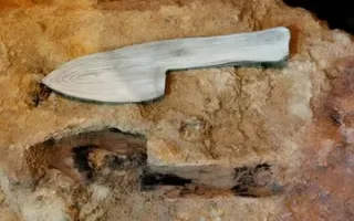 یافتن ۵۹۷ نمونه از آثار چوبی نئاندرتالی؛ نشانه‌هایی از مهارت در ابزارسازی ۶۰ هزار ساله