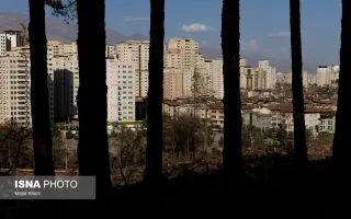 پارک جنگلی چیتگر میان خشکیدگی، آفت و وعدهٔ احیا