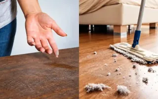 گردوغبار خانه چه بلایی سر سلامتی ما می‌آورد؟