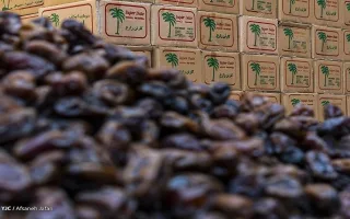 انباشت ۷ هزار کانتینر خرما در مرزها
