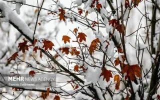 هشدار درباره خطر سیلاب در مناطق شمال غرب و کرمان؛ احتمال بارش برف در نواحی مرتفع