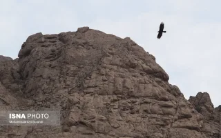 محیط‌بانان این منطقه با گشت‌زنی مستمر و مقابله با شکار غیرمجاز، برای حفاظت از پرندگان شکاری و دیگر گونه‌های حیات‌وحش تلاش می‌کنند.