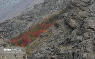 پوشش گیاهی ارتفاعات کن و سولقان در سال‌های گذشته تحت تأثیر چرای غیرمجاز دام و برداشت بی‌رویه گیاهان خودرو قرار داشته است. محیط‌بانان با افزایش نظارت و کنترل ورود دام‌ها تلاش کرده‌اند از تخریب بیشتر این زیستگاه جلوگیری کنند.