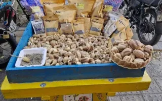فروش غوزه‌های خشخاش در عطاری‌ها و میان دست‌فروشان/ضرورت کنترل عرضه محصولات حاوی «مورفین»